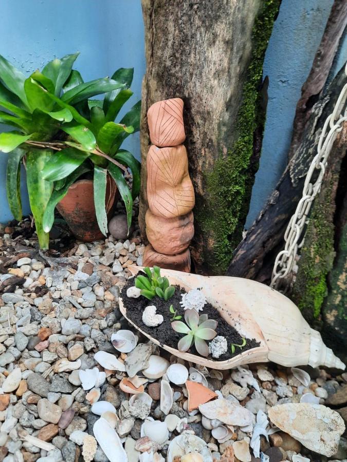 Casa No Paraiso Do Capri Sao Francisco do Sul Εξωτερικό φωτογραφία
